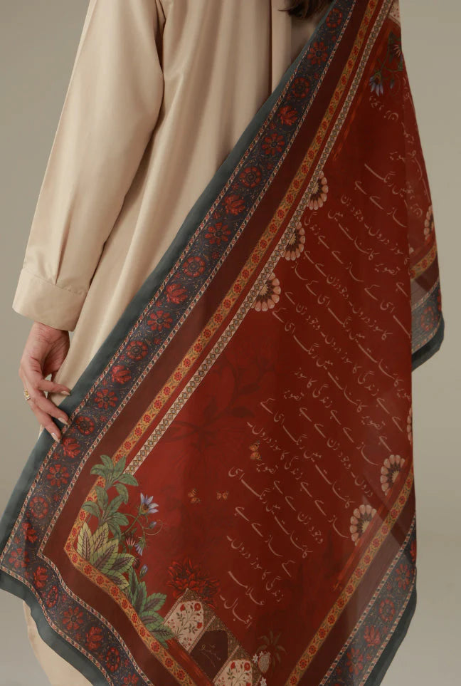Nigarish (প্রতিকৃতি) Scarf