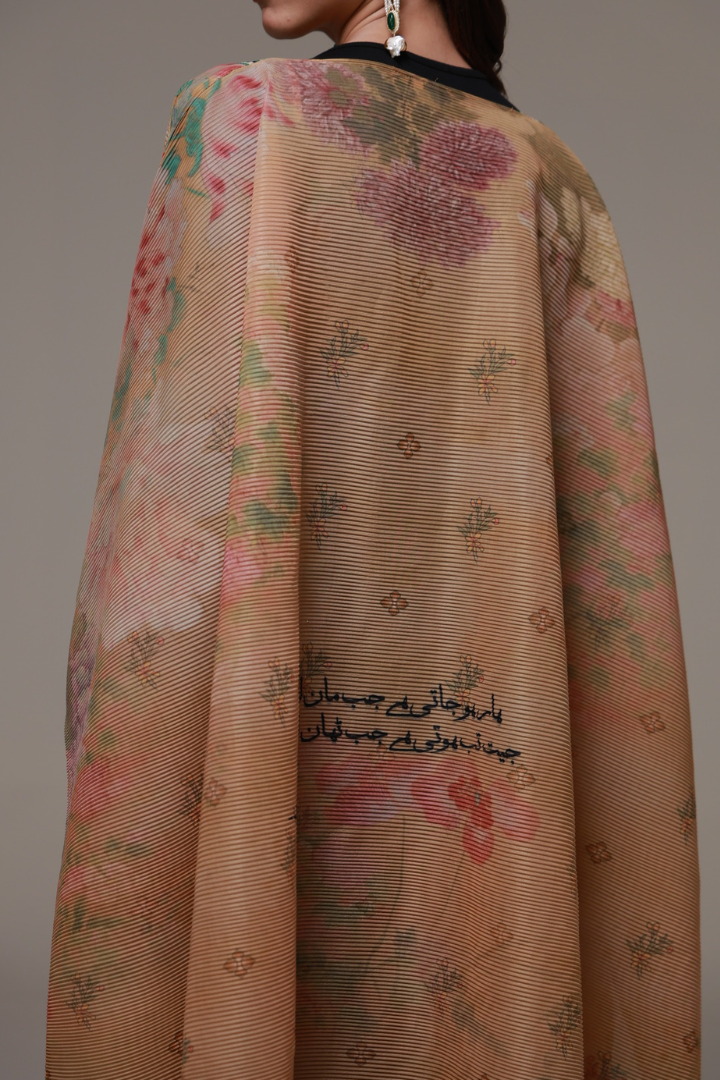 Gul-e-Aftab (সূর্যমুখী) Cape